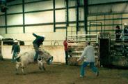 Todd Fox riding his first bull.