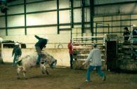 Todd Fox riding his first bull.