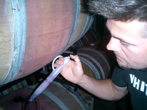 Todd Fox Caduceus Fine Wines