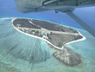 Todd Fox's Trip to the Great Barrier Reef