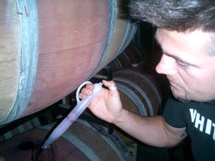 Todd Fox Caduceus Fine Wines